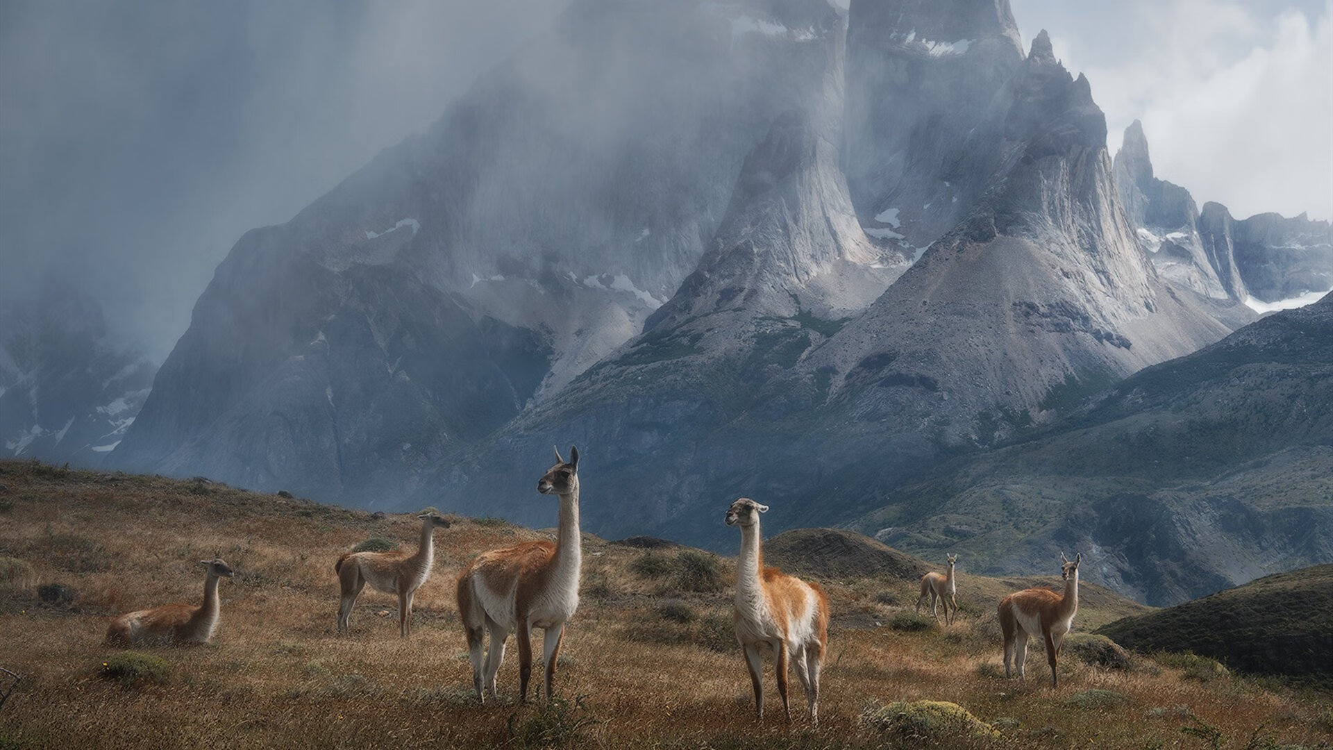 DOTA2新版本解读：英雄改动与战术演变，赛事格局将如何变化？，dota2 最新改动